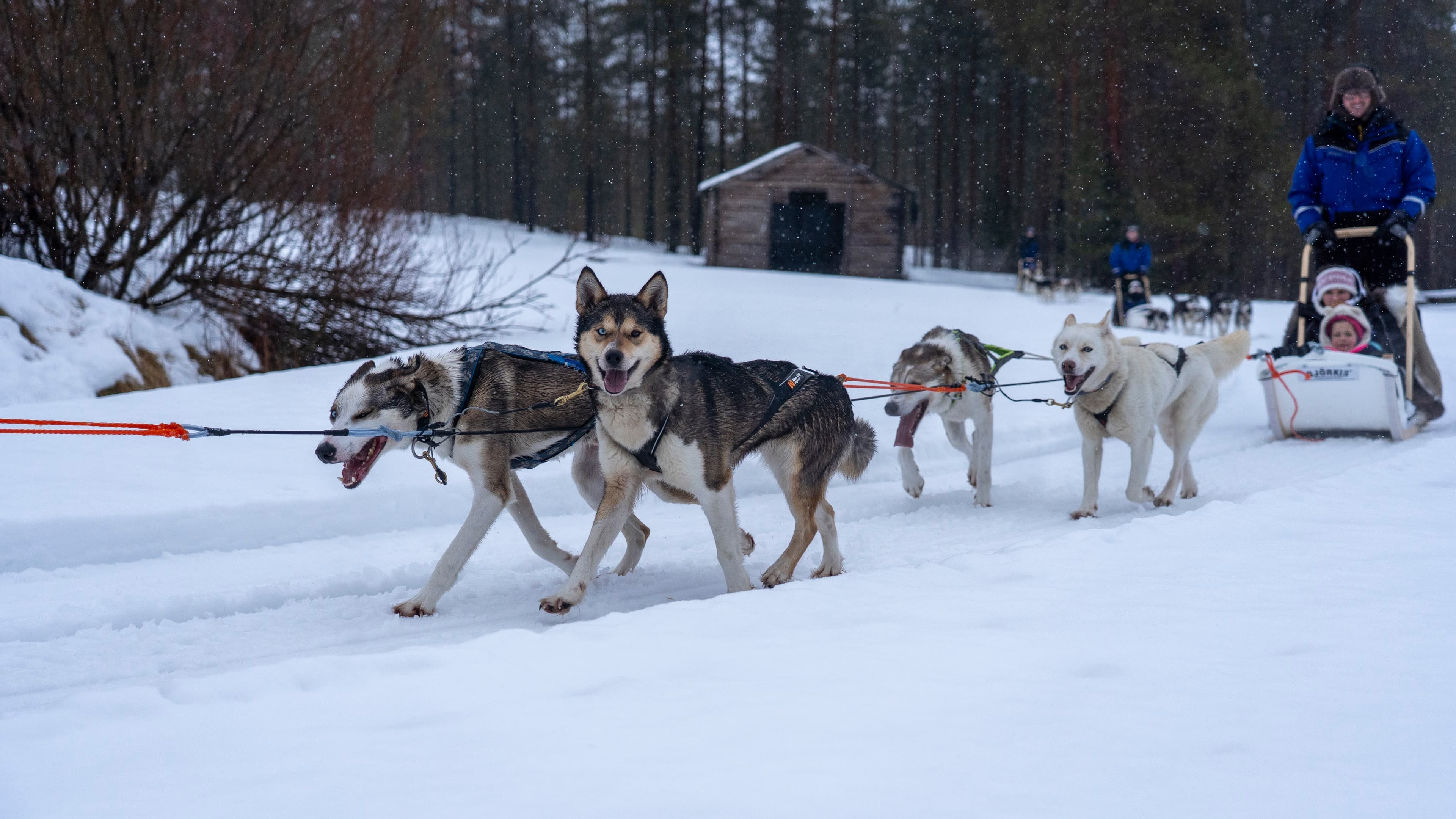 Family Adventure