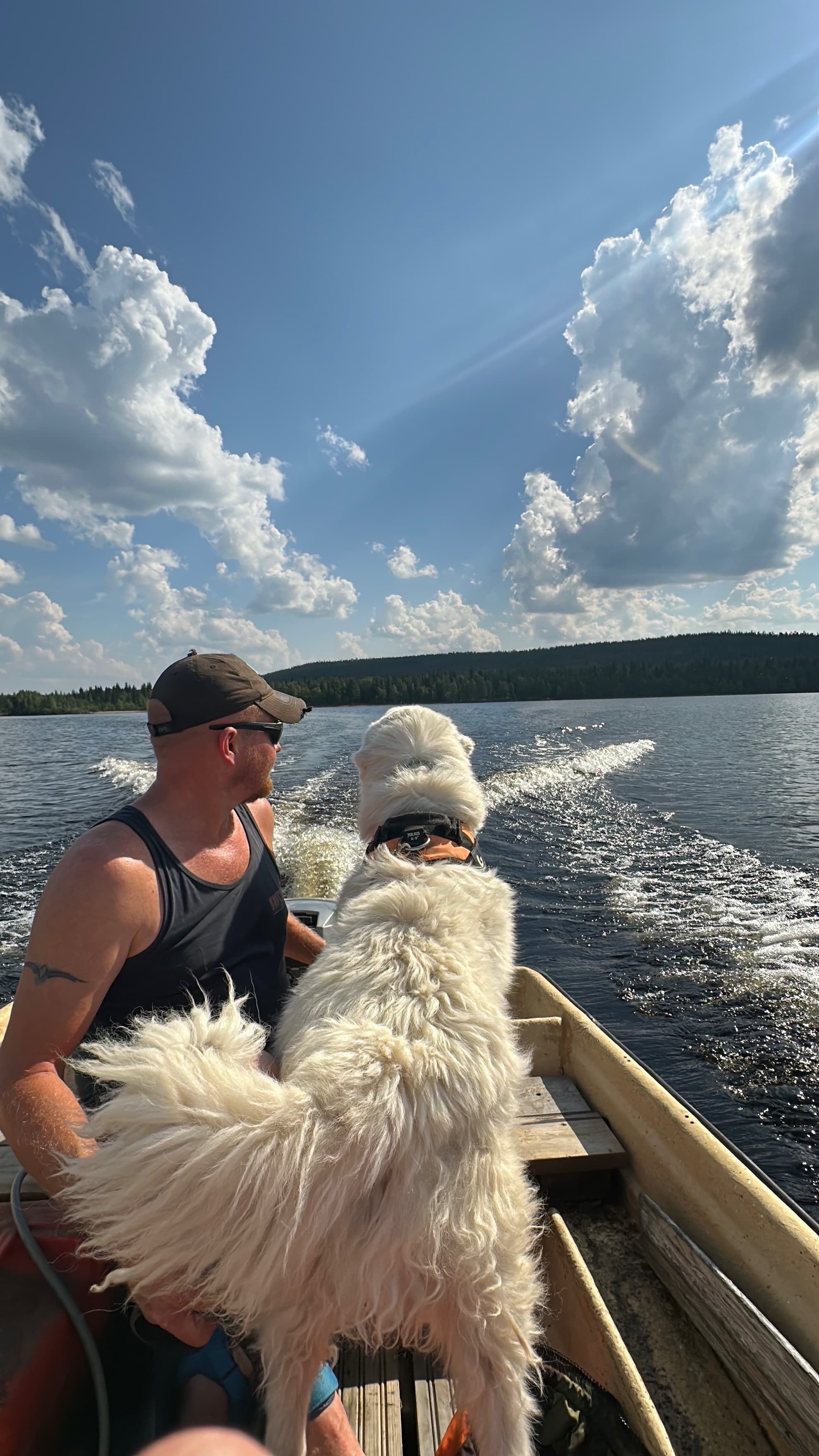 Husky Hike