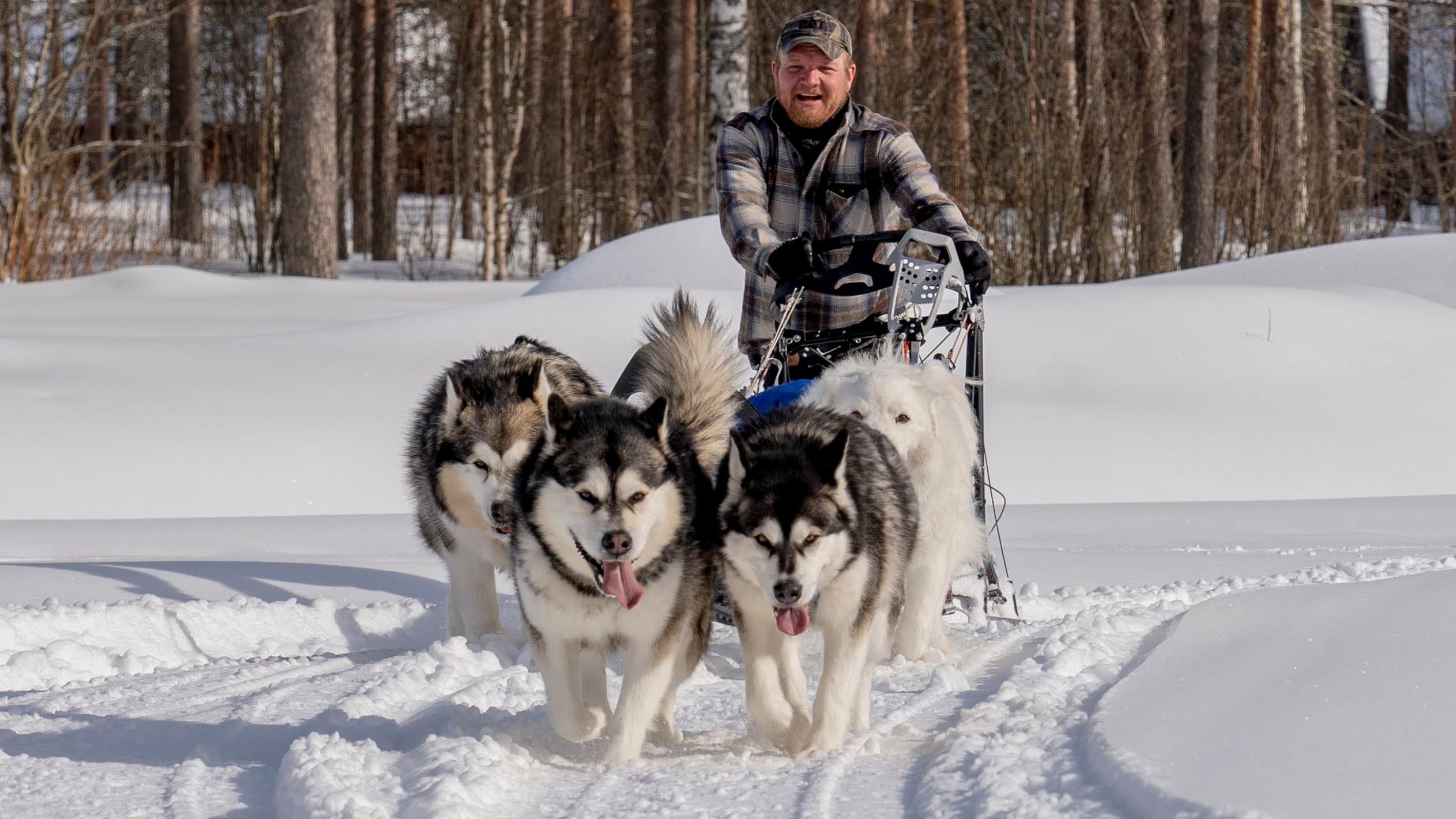 Pikku Husky Tour